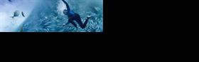 Blue (PG)