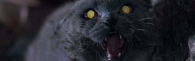 Comedians Talk Over: Pet Sematary ( R)